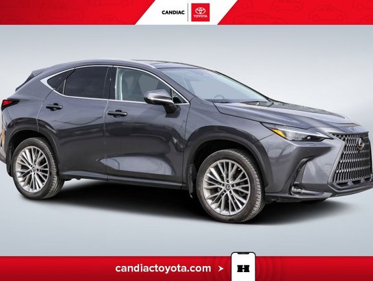 Lexus NX 2023 2023 Gris