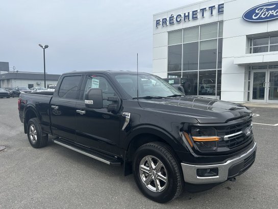 2024 Ford F150 5.0L 2024 Black