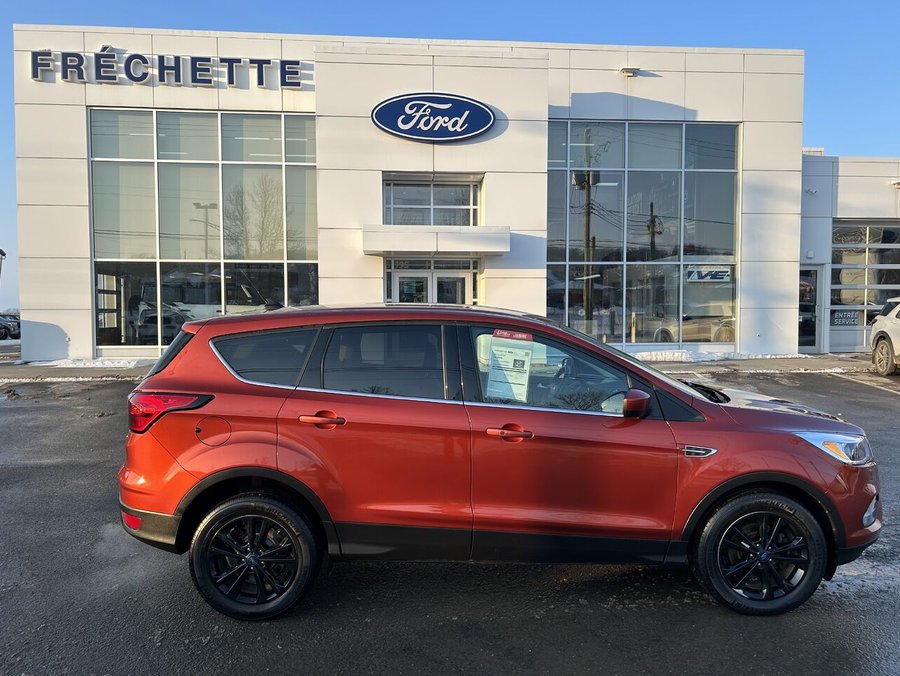Ford ESCAPE 2019 2019 Rouge