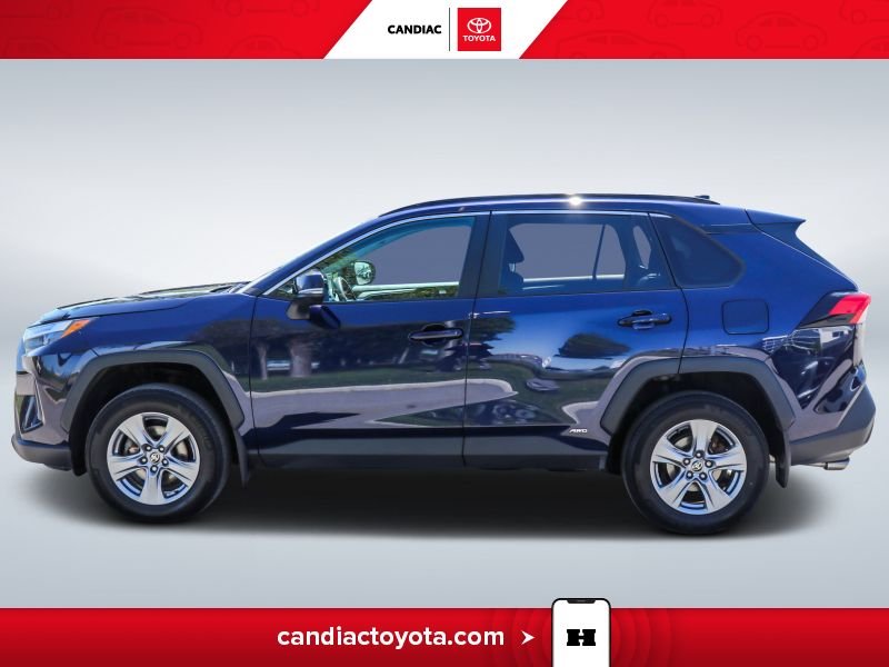 2022 Toyota Rav 4 2022 Blue