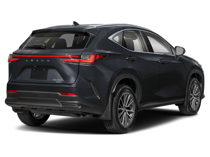 2025 Lexus NX NX 350