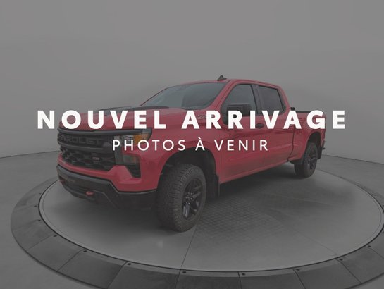 2022 Chevrolet Silverado 1500 2022 Red