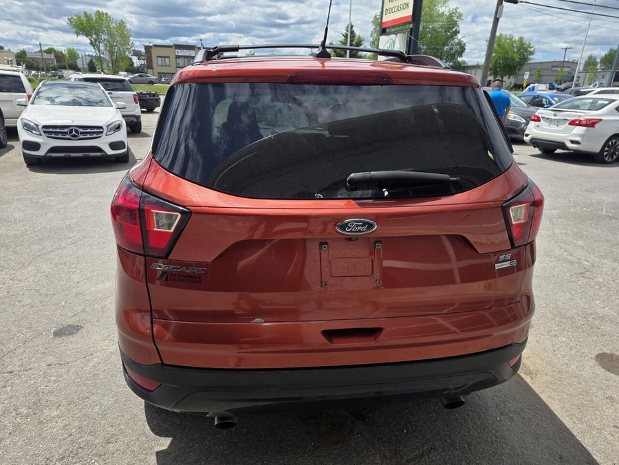 Ford Escape 2019 2019 Orange