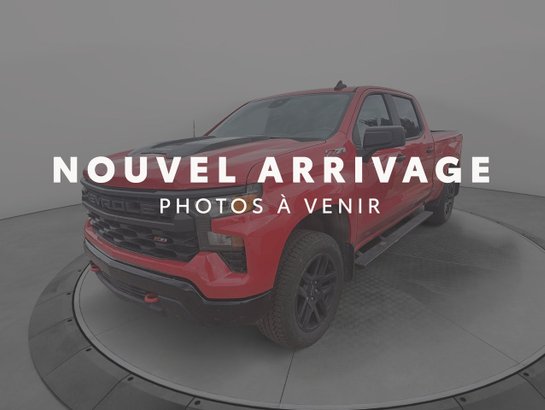 Chevrolet Silverado 1500 2024 2024 Rouge