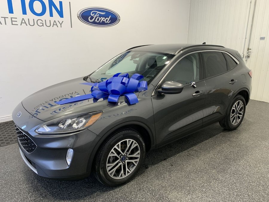 2020 Ford Escape 2020 Grey