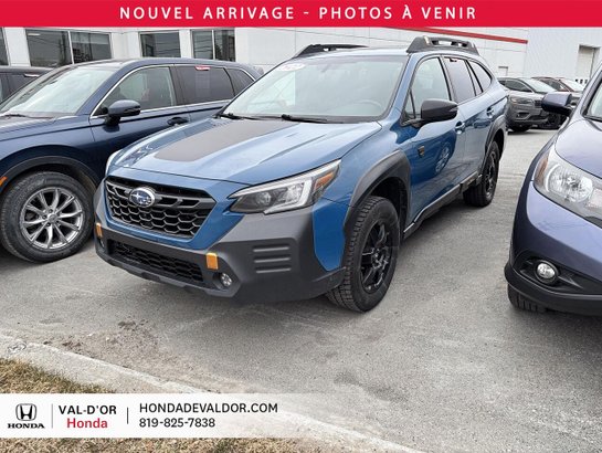 Subaru Outback Wilderness (CVT) 2022 2022 Bleu