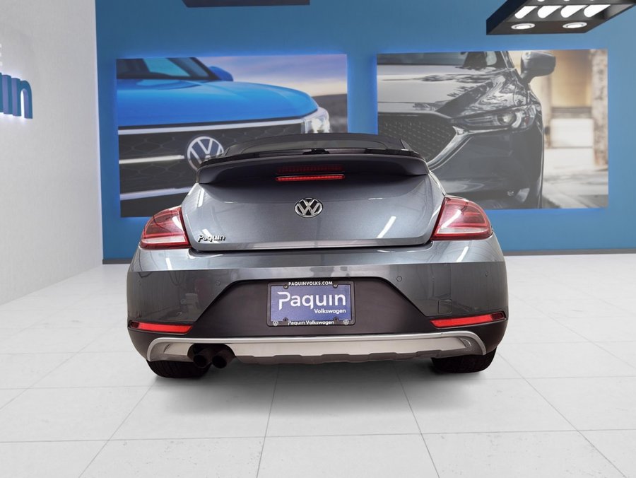 Volkswagen Beetle Convertible 2019 2019 Gris