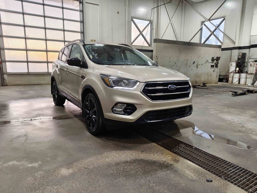 2017 Ford Escape 2017 White Gold Metallic
