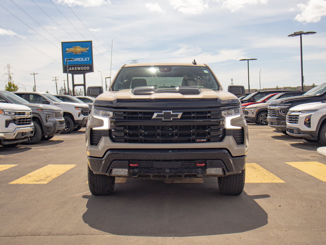 2022 Chevrolet Silverado 1500 4WD Crew Cab 147 LT Trail Boss Beige Sherwood Park - photo #2
