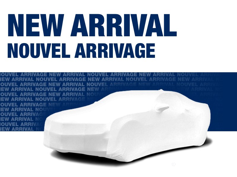 Hyundai Accent 2017 2017 Century White