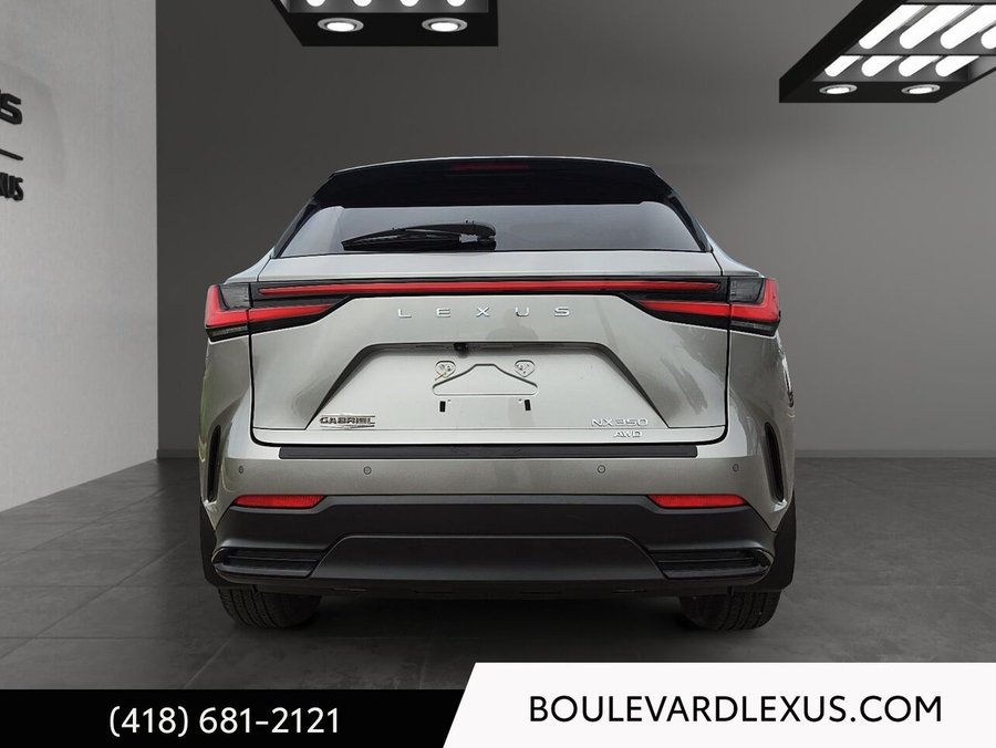 2024 Lexus NX 2024 Silver