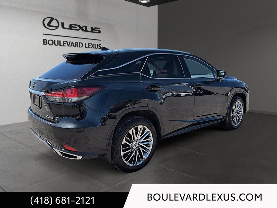 Lexus RX 2022 2022 Noir