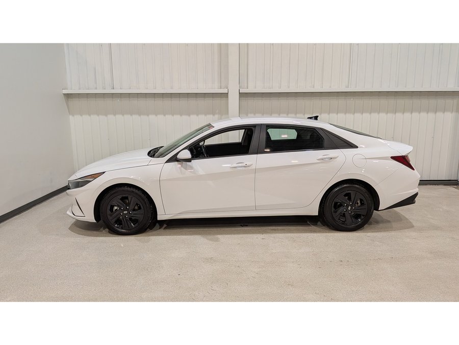 2023 Hyundai Elantra White