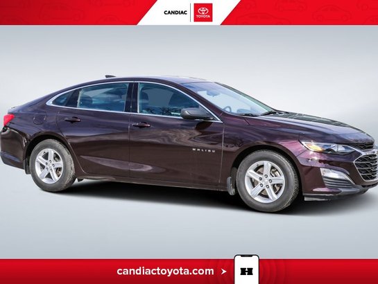 2020 Chevrolet Malibu 2020 mauve