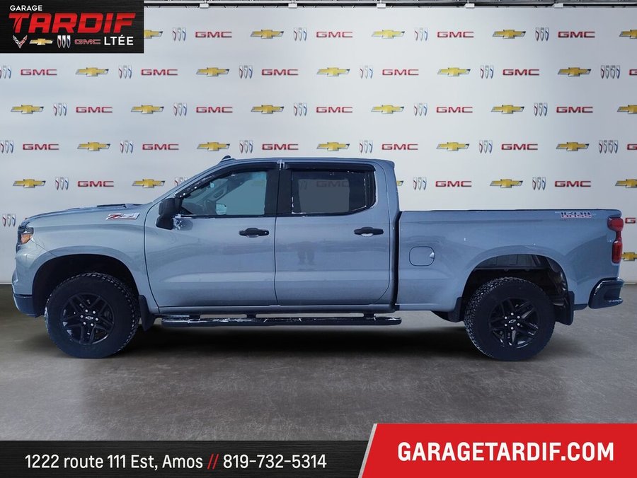 2024 CHEVROLET Silverado 1500 2024 Grey