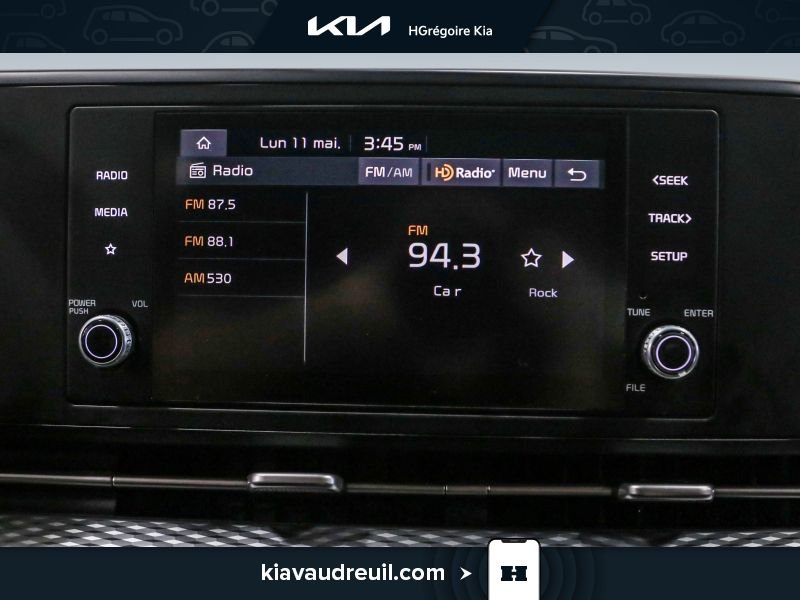 Kia Carnival 2024 Gris Blainville - photo #19