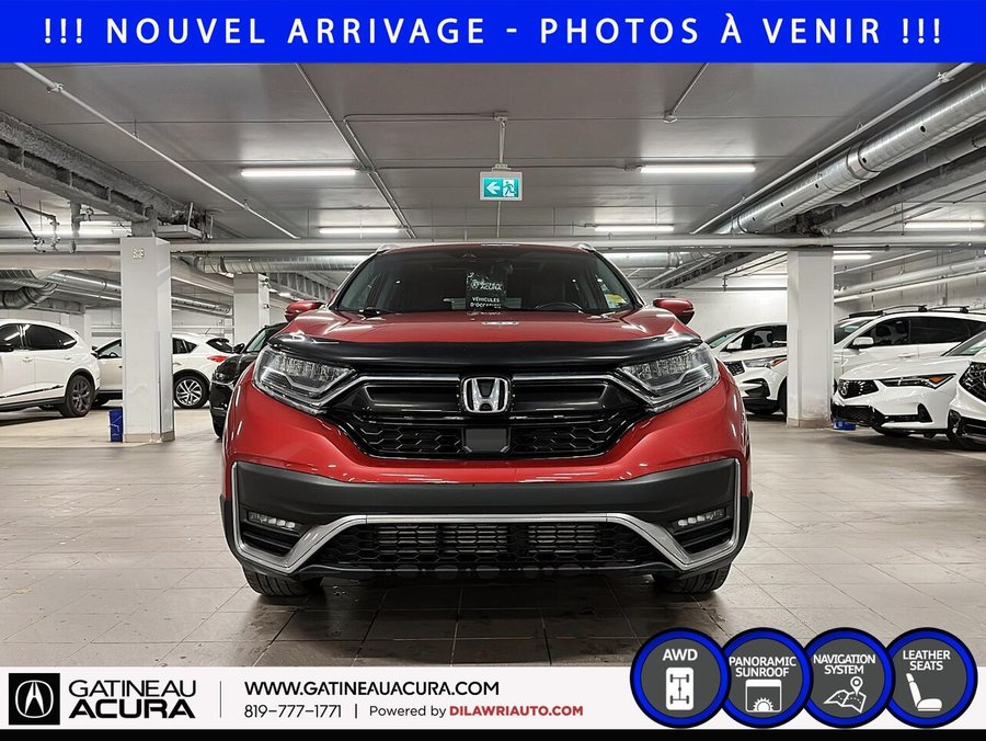 Honda CR-V 2022 2022 Rouge