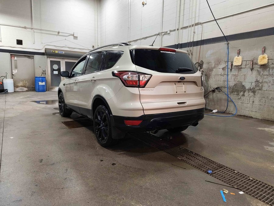 2017 Ford Escape 2017 White Gold Metallic