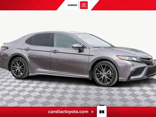 2024 Toyota Camry 2024 Grey