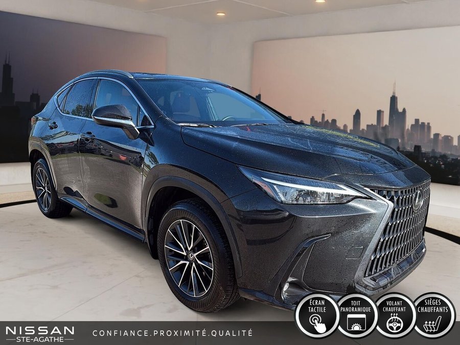 Lexus NX 2025 2025 Vert