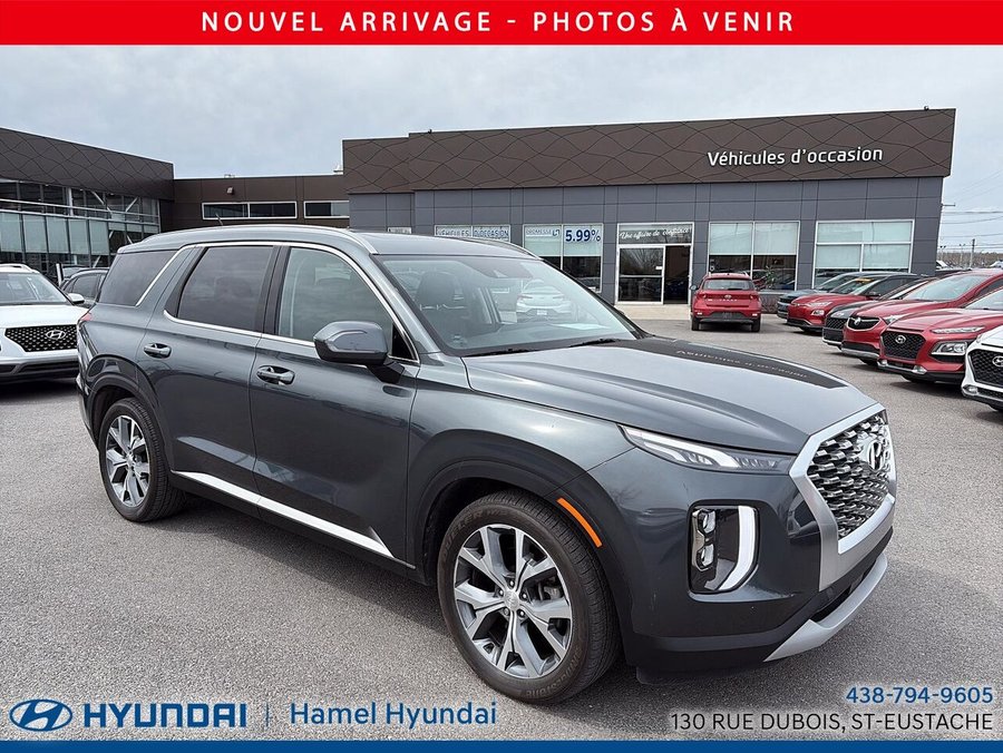 Hyundai Palisade 2021 2021 Gris