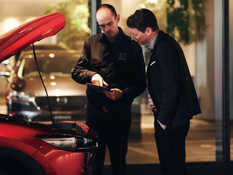 Cras blandit sodales ipsum