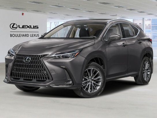 Lexus NX 2024 2024 Gris