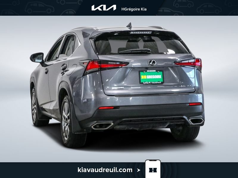 2021 Lexus NX 2021 Grey