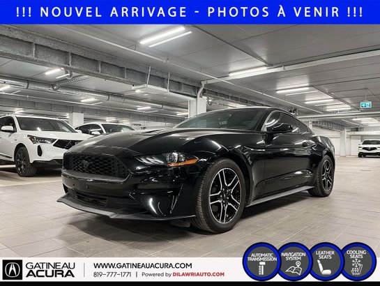 2019 Ford Mustang 2019 Black