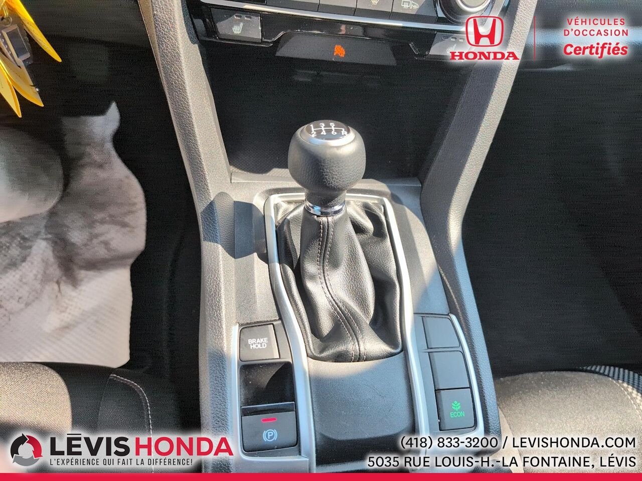 Honda Civic LX LX BM 2019 Blanc Lévis - photo #27