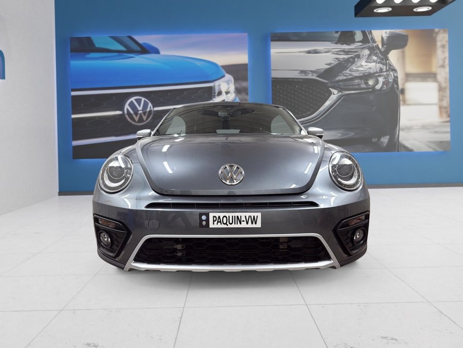 Volkswagen Beetle Convertible 2019 2019 Gris