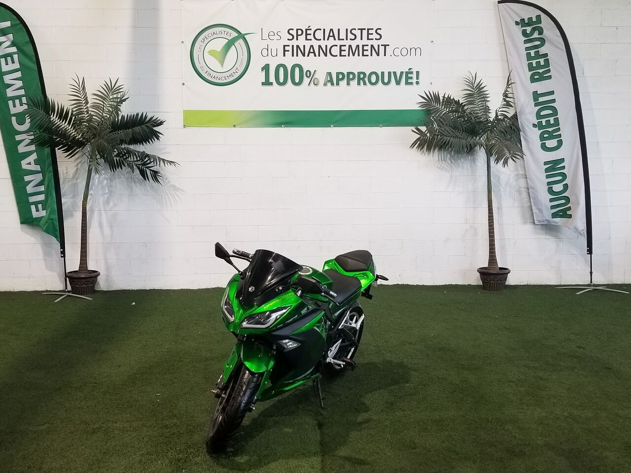 2022 Emmo ZZ Performance Green  - photo #0