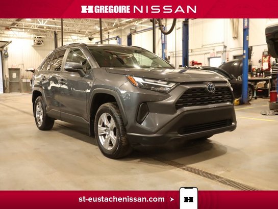 2022 Toyota Rav 4 2022 Grey