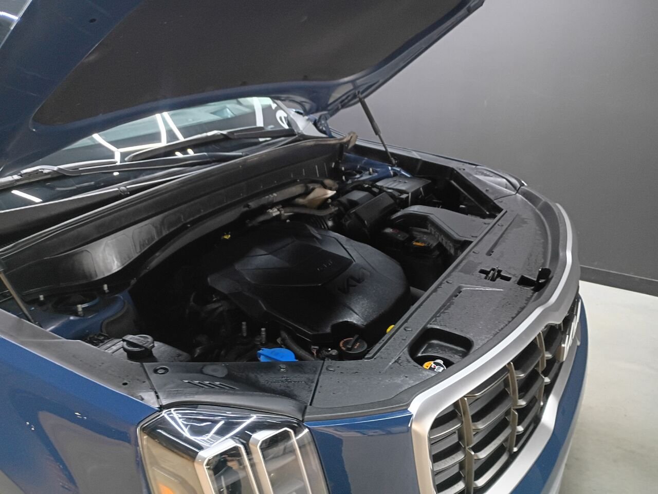 Kia Telluride 2023 Bleu Blainville - photo #36