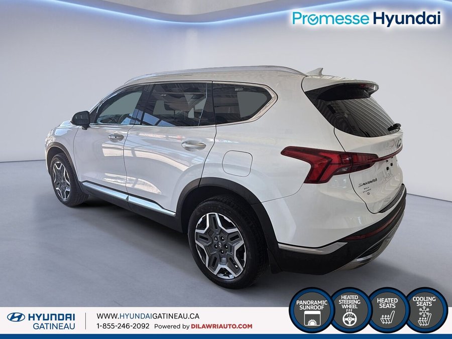Hyundai Santa Fe Hybrid 2023 2023 Blanc