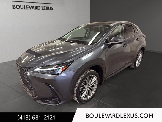 Lexus NX 2024 2024 Gris