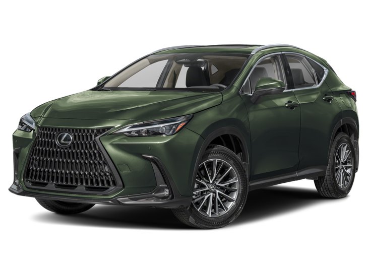 2025 Lexus NX NX 350
