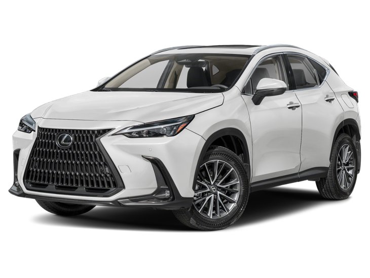2025 Lexus NX NX 350
