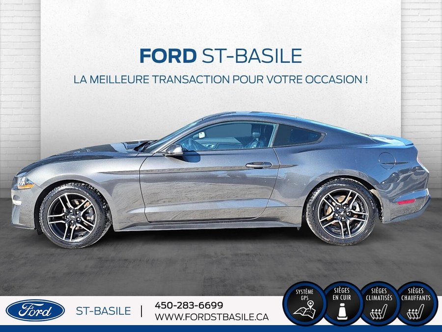 Ford Mustang 2019 2019 Gris