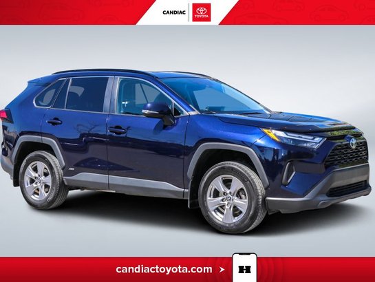 2022 Toyota Rav 4 2022 Blue