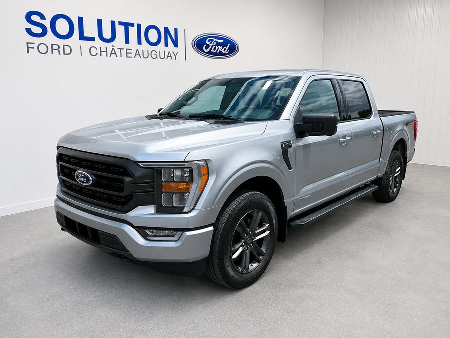 Ford F-150 2021 2021 Argent