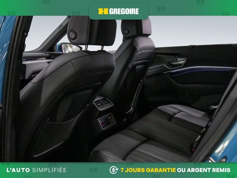 2019 Audi e-tron Blue Laval - photo #19
