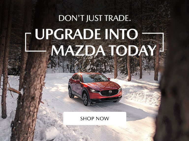 REFS 9337_PLM   Trade & Credit Update _ Evergreen_01_ENG_WB_1140 x 386