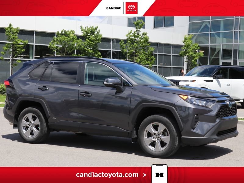 2022 Toyota Rav 4 2022 Grey