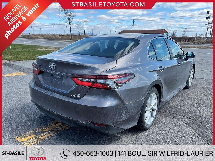 2022 TOYOTA Camry Hybrid 2022 Grey