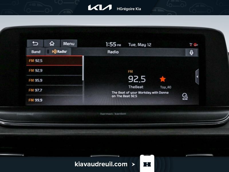 2021 Kia Telluride Black Laval - photo #25