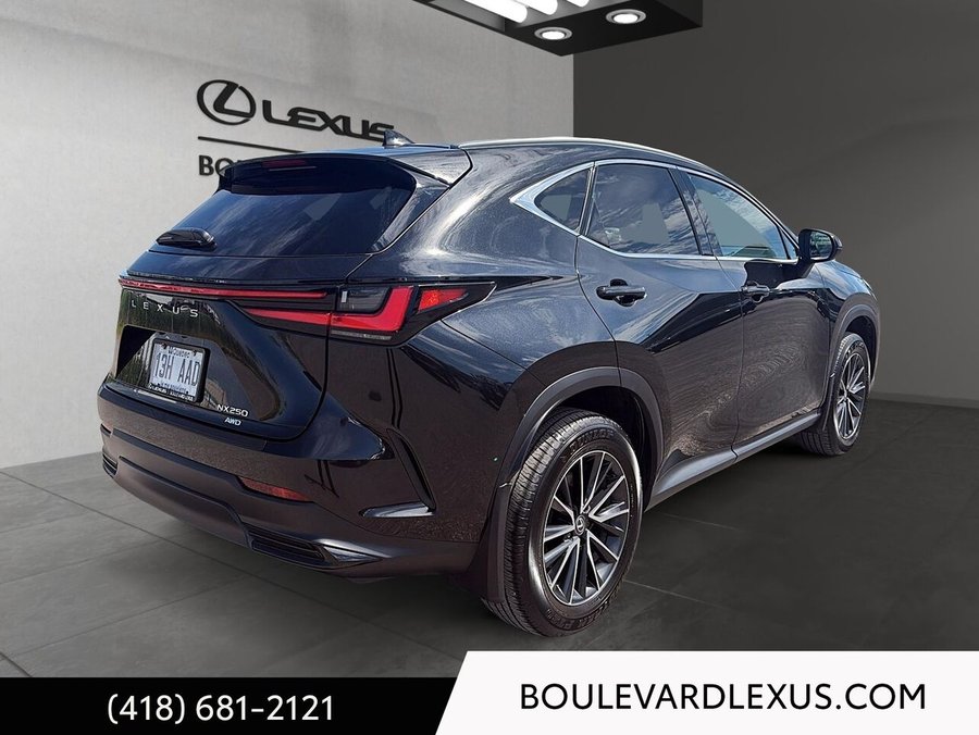 Lexus NX 2024 2024 Noir