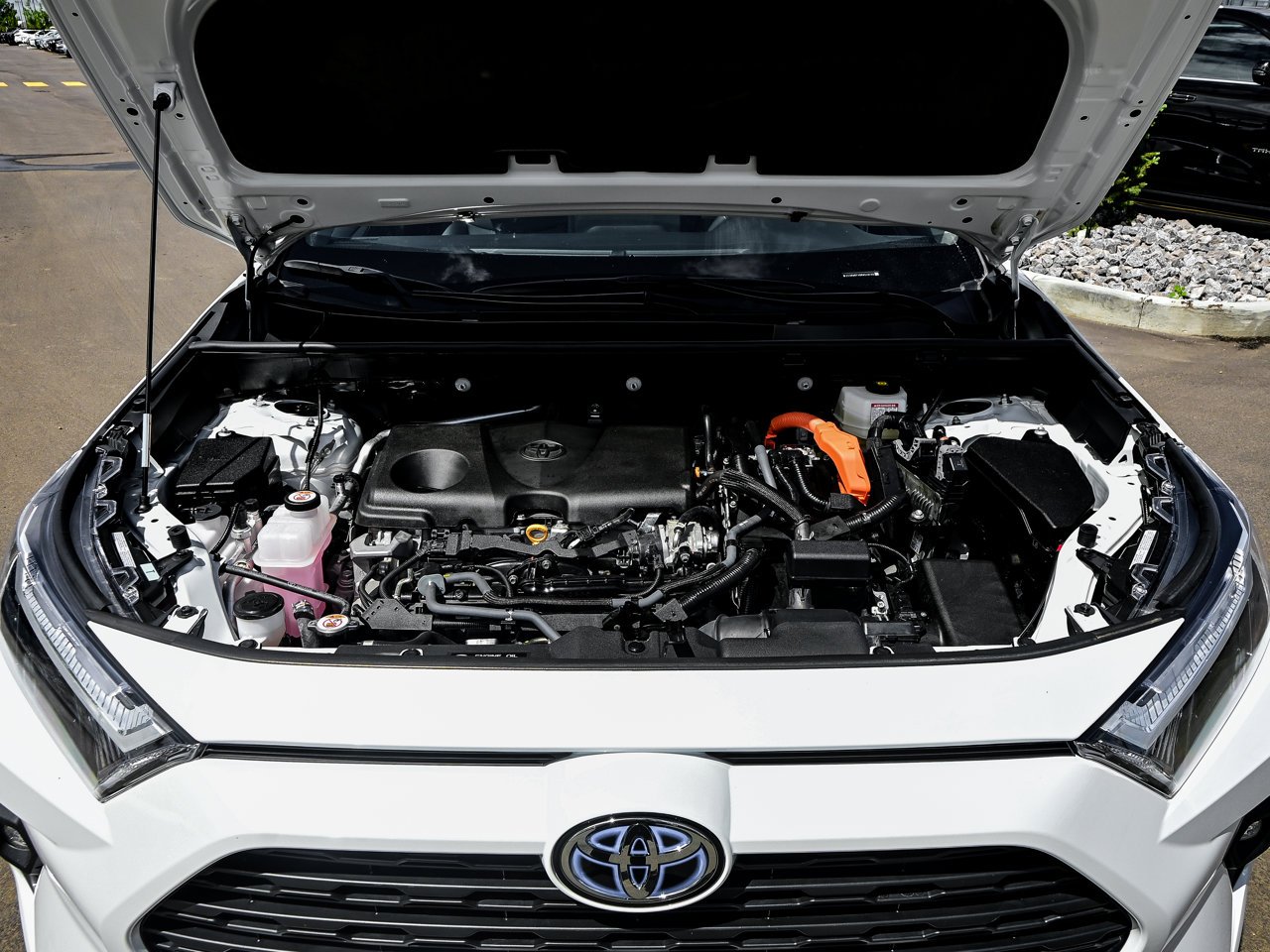 2024 Toyota RAV4 Hybrid XLE AWD White w/Black Roof Sherwood Park - photo #8