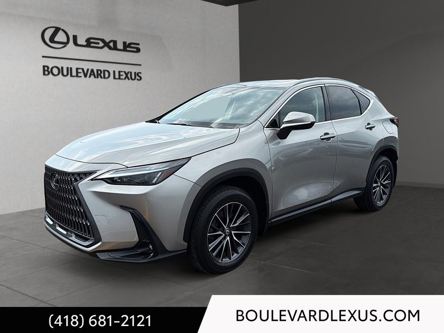 Lexus NX 2024 2024 Argent