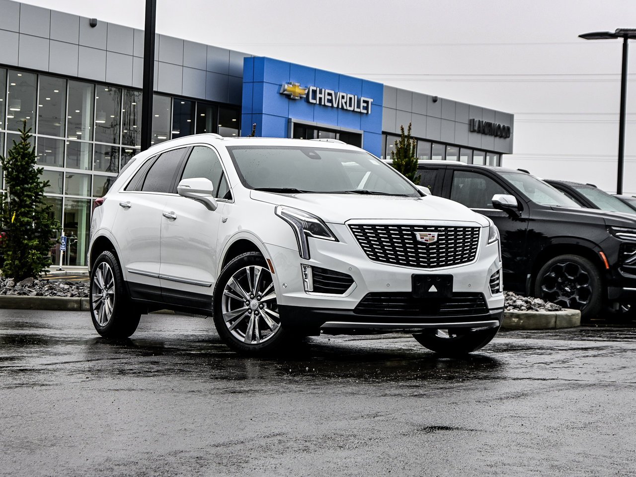 2024 Cadillac XT5 AWD 4dr Premium Luxury White Sherwood Park - photo #1
